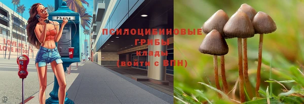 крисы Куйбышев