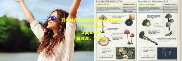 кокаин VHQ Алексеевка