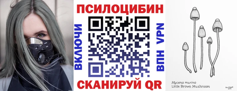 KRAKEN ONION  Дмитриев  Псилоцибиновые грибы мухоморы 
